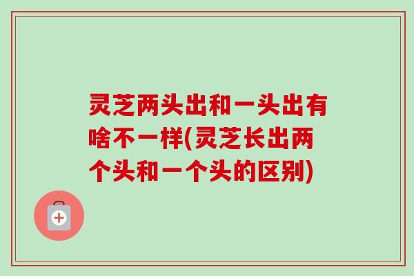 灵芝两头出和一头出有啥不一样(灵芝长出两个头和一个头的区别)