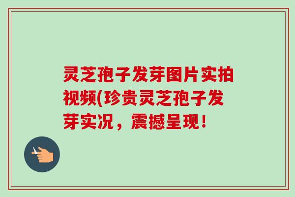 灵芝孢子发芽图片实拍视频(珍贵灵芝孢子发芽实况,震撼呈现! 灵芝孢子发芽图片实拍视频(珍贵灵芝孢子发芽实况,震撼呈现!
