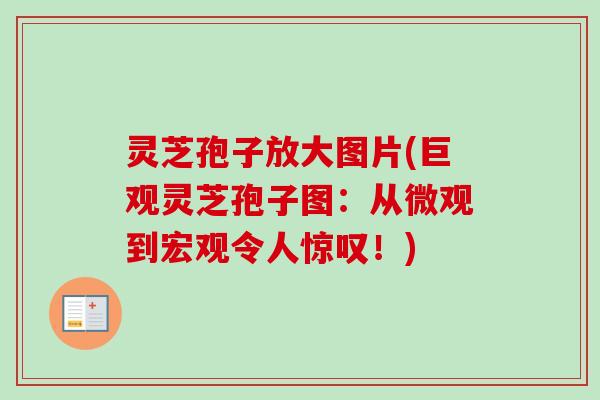 灵芝孢子放大图片(巨观灵芝孢子图:从微观到宏观令人惊叹!) 灵芝孢子放大图片(巨观灵芝孢子图:从微观到宏观令人惊叹!)