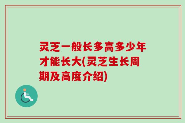 灵芝一般长多高多少年才能长大(灵芝生长周期及高度介绍) 灵芝一般长多高多少年才能长大(灵芝生长周期及高度介绍)