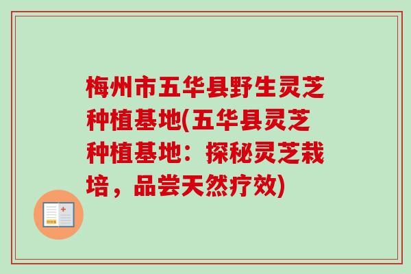 梅州市五华县野生灵芝种植基地(五华县灵芝种植基地:探秘灵芝栽培,品尝天然疗效) 梅州市五华县野生灵芝种植基地(五华县灵芝种植基地:探秘灵芝栽培,品尝天然疗效)