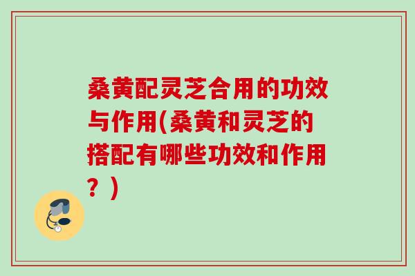 桑黄配灵芝合用的功效与作用(桑黄和灵芝的搭配有哪些功效和作用?) 桑黄配灵芝合用的功效与作用(桑黄和灵芝的搭配有哪些功效和作用?)