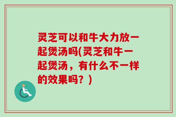 灵芝可以和牛大力放一起煲汤吗(灵芝和牛一起煲汤,有什么不一样的效果吗?) 灵芝可以和牛大力放一起煲汤吗(灵芝和牛一起煲汤,有什么不一样的效果吗?)