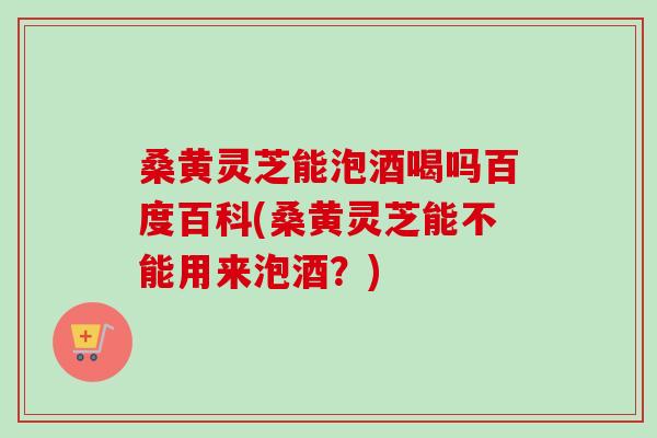 桑黄灵芝能泡酒喝吗百度百科(桑黄灵芝能不能用来泡酒?) 桑黄灵芝能泡酒喝吗百度百科(桑黄灵芝能不能用来泡酒?)
