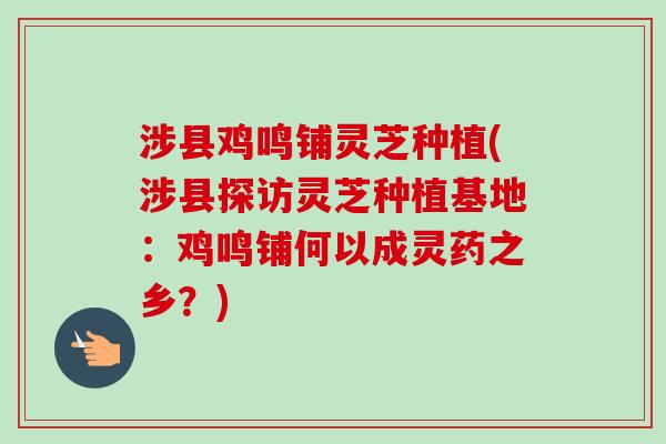 涉县鸡鸣铺灵芝种植(涉县探访灵芝种植基地:鸡鸣铺何以成灵药之乡?) 涉县鸡鸣铺灵芝种植(涉县探访灵芝种植基地:鸡鸣铺何以成灵药之乡?)