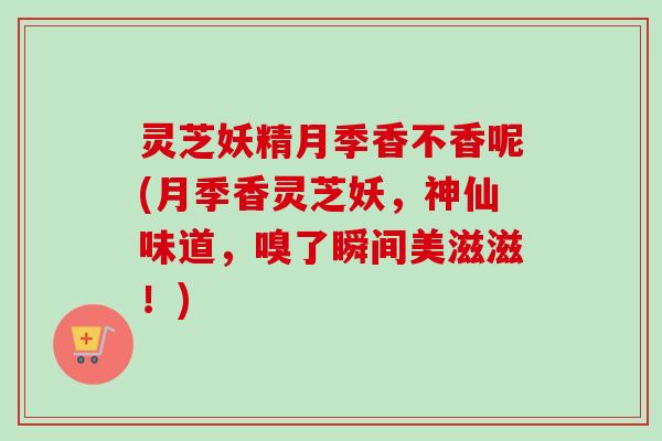 灵芝妖精月季香不香呢(月季香灵芝妖,神仙味道,嗅了瞬间美滋滋!) 灵芝妖精月季香不香呢(月季香灵芝妖,神仙味道,嗅了瞬间美滋滋!)