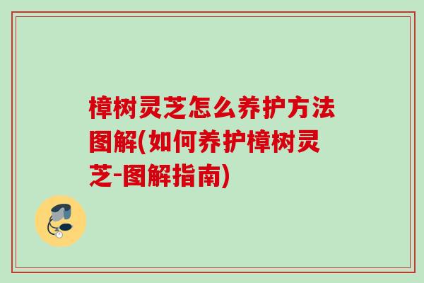 樟树灵芝怎么养护方法图解(如何养护樟树灵芝-图解指南) 樟树灵芝怎么养护方法图解(如何养护樟树灵芝-图解指南)