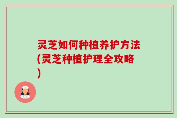 灵芝如何种植养护方法(灵芝种植护理全攻略) 灵芝如何种植养护方法(灵芝种植护理全攻略)