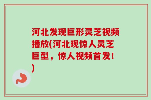 河北发现巨形灵芝视频播放(河北现惊人灵芝巨型,惊人视频首发!) 河北发现巨形灵芝视频播放(河北现惊人灵芝巨型,惊人视频首发!)