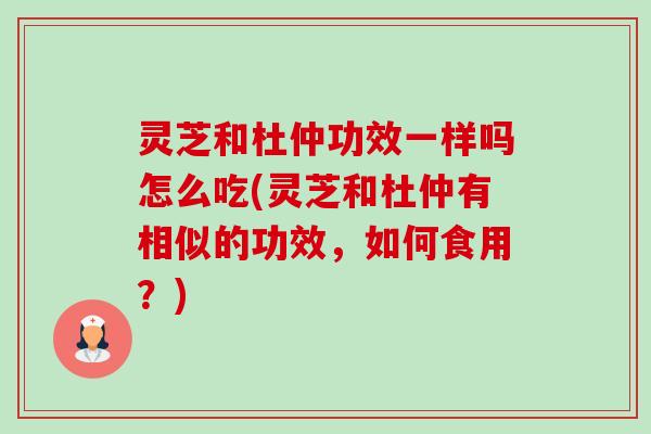 灵芝和杜仲功效一样吗怎么吃(灵芝和杜仲有相似的功效,如何食用?) 灵芝和杜仲功效一样吗怎么吃(灵芝和杜仲有相似的功效,如何食用?)