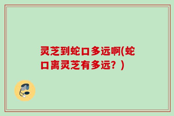 灵芝到蛇口多远啊(蛇口离灵芝有多远?) 灵芝到蛇口多远啊(蛇口离灵芝有多远?)