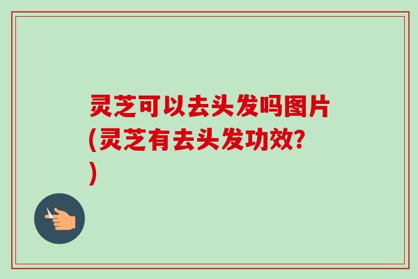 灵芝可以去头发吗图片(灵芝有去头发功效？)