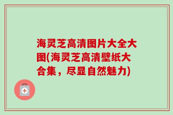 海灵芝高清图片大全大图(海灵芝高清壁纸大合集,尽显自然魅力) 海灵芝高清图片大全大图(海灵芝高清壁纸大合集,尽显自然魅力)