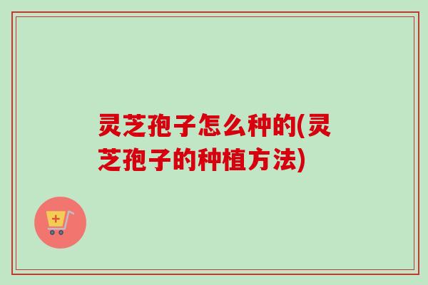 灵芝孢子怎么种的(灵芝孢子的种植方法)