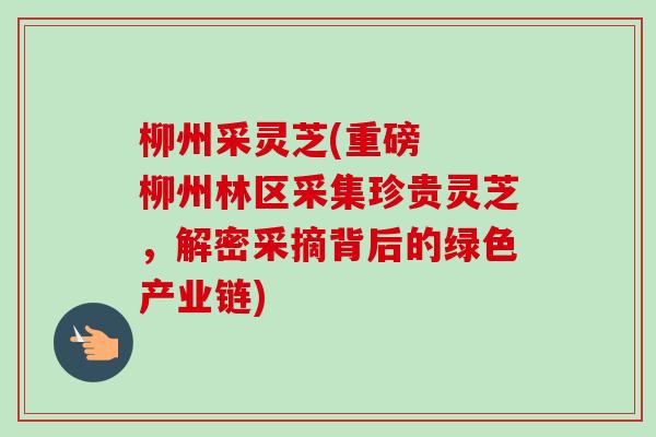柳州采灵芝(重磅  柳州林区采集珍贵灵芝，解密采摘背后的绿色产业链)