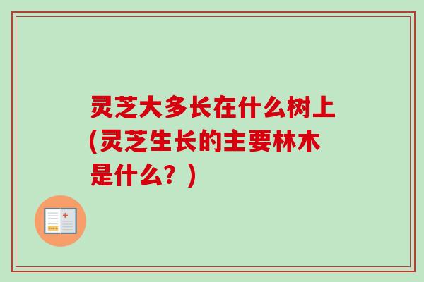 灵芝大多长在什么树上(灵芝生长的主要林木是什么?) 灵芝大多长在什么树上(灵芝生长的主要林木是什么?)