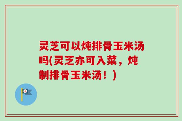 灵芝可以炖排骨玉米汤吗(灵芝亦可入菜,炖制排骨玉米汤!) 灵芝可以炖排骨玉米汤吗(灵芝亦可入菜,炖制排骨玉米汤!)