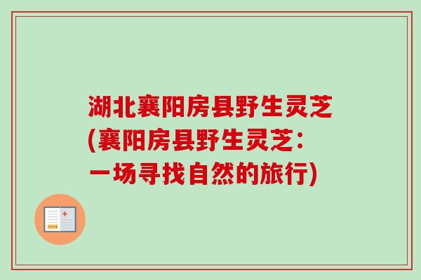 湖北襄阳房县野生灵芝(襄阳房县野生灵芝:一场寻找自然的旅行) 湖北襄阳房县野生灵芝(襄阳房县野生灵芝:一场寻找自然的旅行)