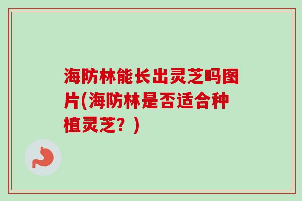 海防林能长出灵芝吗图片(海防林是否适合种植灵芝?) 海防林能长出灵芝吗图片(海防林是否适合种植灵芝?)