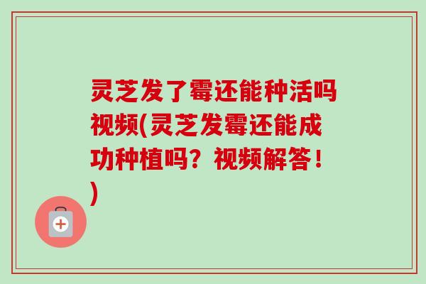 灵芝发了霉还能种活吗视频(灵芝发霉还能成功种植吗？视频解答！)