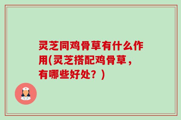 灵芝同鸡骨草有什么作用(灵芝搭配鸡骨草，有哪些好处？)