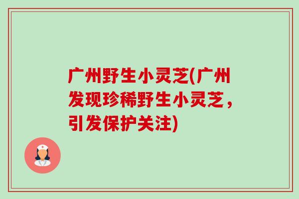 广州野生小灵芝(广州发现珍稀野生小灵芝，引发保护关注)