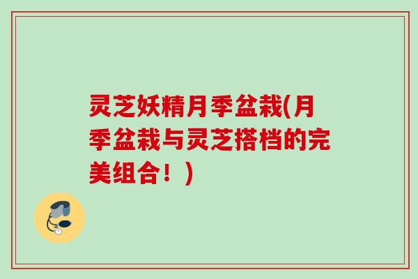 灵芝妖精月季盆栽(月季盆栽与灵芝搭档的完美组合！)