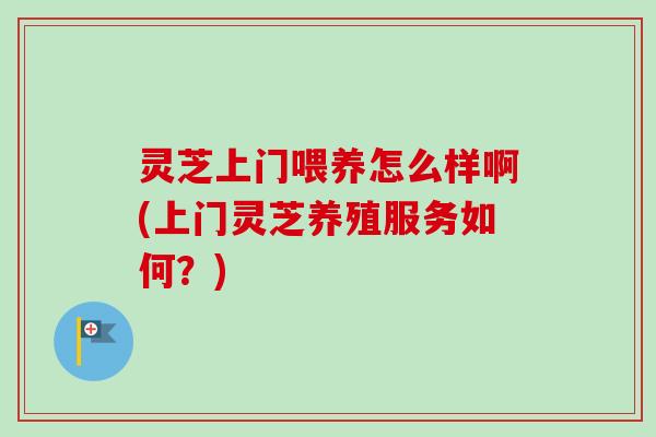 灵芝上门喂养怎么样啊(上门灵芝养殖服务如何?) 灵芝上门喂养怎么样啊(上门灵芝养殖服务如何?)