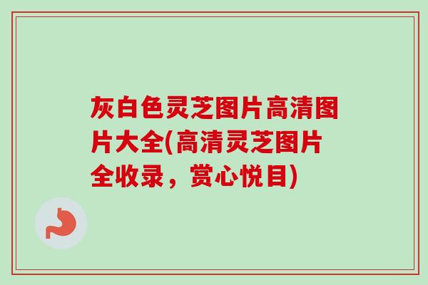灰白色灵芝图片高清图片大全(高清灵芝图片全收录,赏心悦目) 灰白色灵芝图片高清图片大全(高清灵芝图片全收录,赏心悦目)