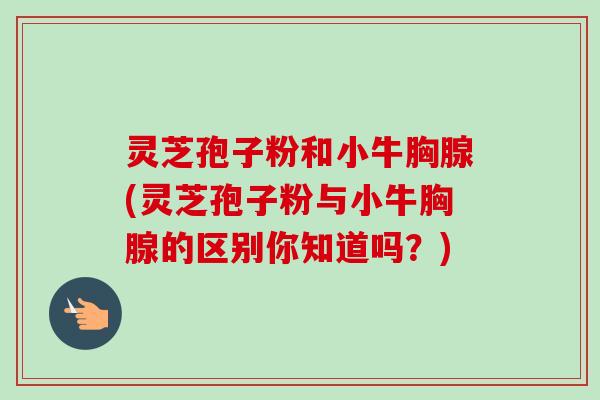 灵芝孢子粉和小牛胸腺(灵芝孢子粉与小牛胸腺的区别你知道吗?) 灵芝孢子粉和小牛胸腺(灵芝孢子粉与小牛胸腺的区别你知道吗?)