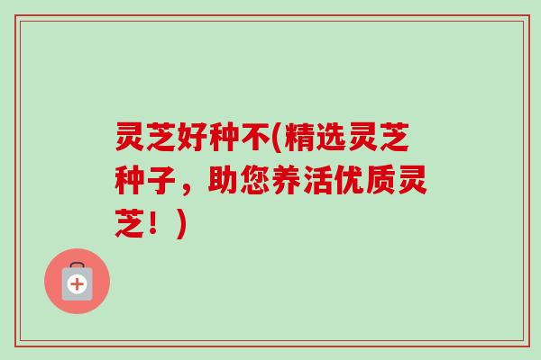 灵芝好种不(精选灵芝种子,助您养活优质灵芝!) 灵芝好种不(精选灵芝种子,助您养活优质灵芝!)