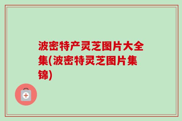 波密特产灵芝图片大全集(波密特灵芝图片集锦) 波密特产灵芝图片大全集(波密特灵芝图片集锦)