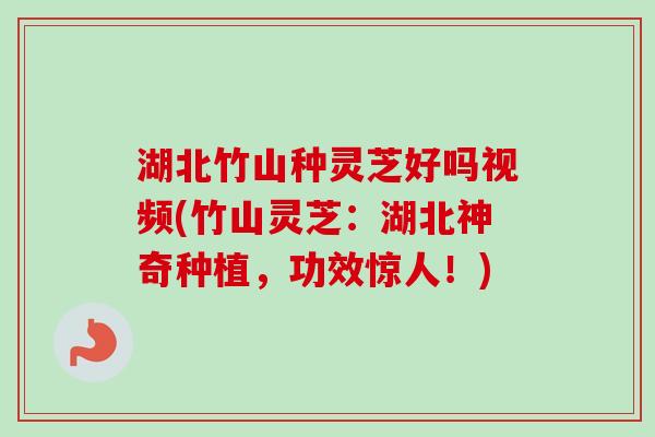 湖北竹山种灵芝好吗视频(竹山灵芝:湖北神奇种植,功效惊人!) 湖北竹山种灵芝好吗视频(竹山灵芝:湖北神奇种植,功效惊人!)