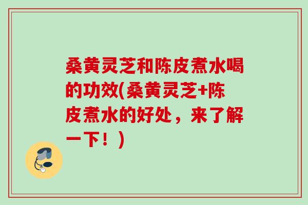 桑黄灵芝和陈皮煮水喝的功效(桑黄灵芝+陈皮煮水的好处,来了解一下!) 桑黄灵芝和陈皮煮水喝的功效(桑黄灵芝+陈皮煮水的好处,来了解一下!)