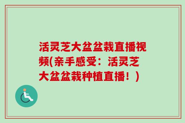 活灵芝大盆盆栽直播视频(亲手感受:活灵芝大盆盆栽种植直播!) 活灵芝大盆盆栽直播视频(亲手感受:活灵芝大盆盆栽种植直播!)