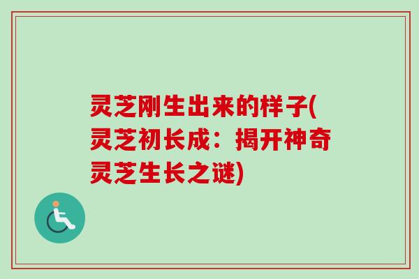 灵芝刚生出来的样子(灵芝初长成:揭开神奇灵芝生长之谜) 灵芝刚生出来的样子(灵芝初长成:揭开神奇灵芝生长之谜)