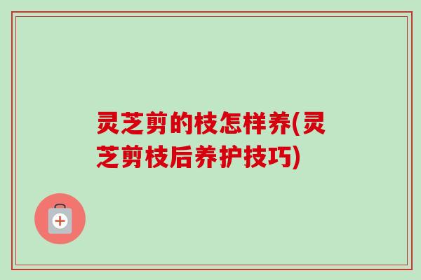 灵芝剪的枝怎样养(灵芝剪枝后养护技巧) 灵芝剪的枝怎样养(灵芝剪枝后养护技巧)