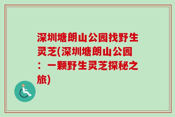 深圳塘朗山公园找野生灵芝(深圳塘朗山公园:一颗野生灵芝探秘之旅) 深圳塘朗山公园找野生灵芝(深圳塘朗山公园:一颗野生灵芝探秘之旅)