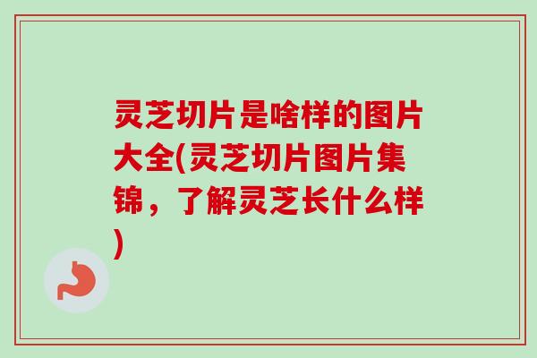 灵芝切片是啥样的图片大全(灵芝切片图片集锦,了解灵芝长什么样) 灵芝切片是啥样的图片大全(灵芝切片图片集锦,了解灵芝长什么样)