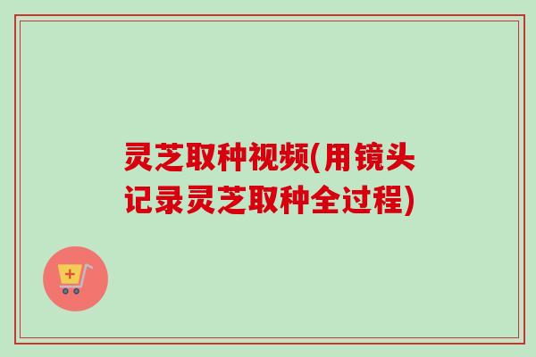 灵芝取种视频(用镜头记录灵芝取种全过程) 灵芝取种视频(用镜头记录灵芝取种全过程)