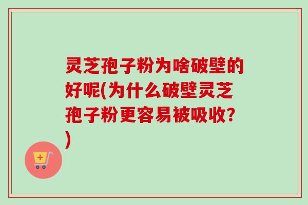 灵芝孢子粉为啥破壁的好呢(为什么破壁灵芝孢子粉更容易被吸收？)