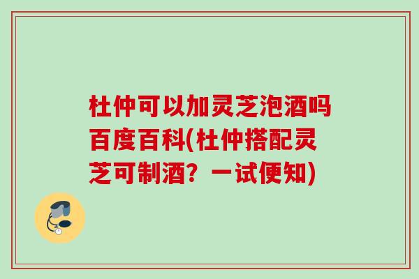杜仲可以加灵芝泡酒吗百度百科(杜仲搭配灵芝可制酒?一试便知) 杜仲可以加灵芝泡酒吗百度百科(杜仲搭配灵芝可制酒?一试便知)