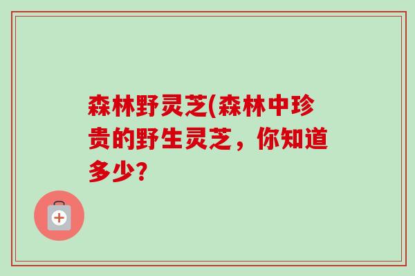 森林野灵芝(森林中珍贵的野生灵芝,你知道多少? 森林野灵芝(森林中珍贵的野生灵芝,你知道多少?