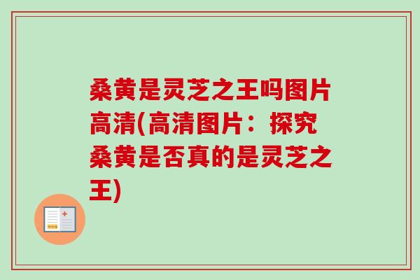 桑黄是灵芝之王吗图片高清(高清图片:探究桑黄是否真的是灵芝之王) 桑黄是灵芝之王吗图片高清(高清图片:探究桑黄是否真的是灵芝之王)