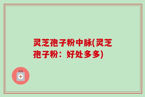 灵芝孢子粉中脉(灵芝孢子粉:好处多多) 灵芝孢子粉中脉(灵芝孢子粉:好处多多)