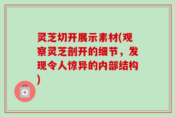 灵芝切开展示素材(观察灵芝剖开的细节，发现令人惊异的内部结构)