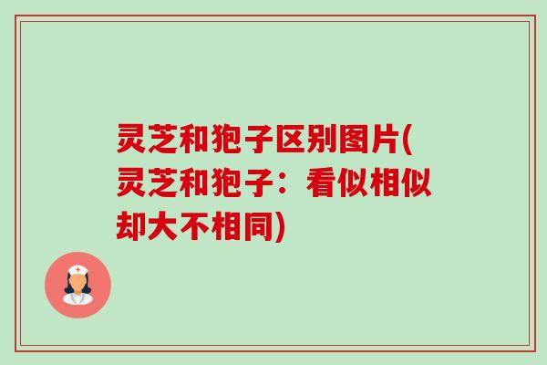 灵芝和狍子区别图片(灵芝和狍子：看似相似却大不相同)