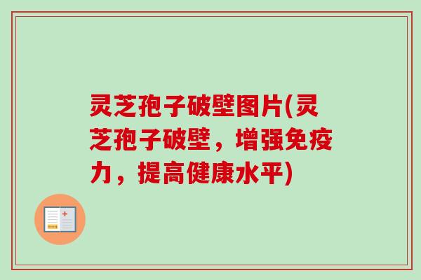灵芝孢子破壁图片(灵芝孢子破壁,增强免疫力,提高健康水平) 灵芝孢子破壁图片(灵芝孢子破壁,增强免疫力,提高健康水平)
