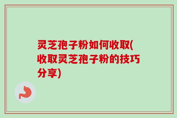灵芝孢子粉如何收取(收取灵芝孢子粉的技巧分享) 灵芝孢子粉如何收取(收取灵芝孢子粉的技巧分享)