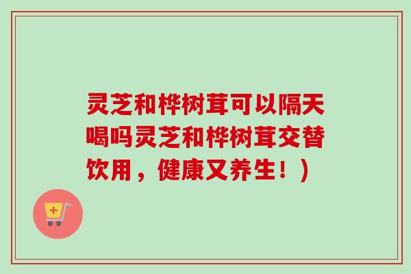 灵芝和桦树茸可以隔天喝吗灵芝和桦树茸交替饮用,健康又养生!) 灵芝和桦树茸可以隔天喝吗灵芝和桦树茸交替饮用,健康又养生!)